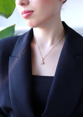 etrafı zirkon taşlı yıldız taş kolye