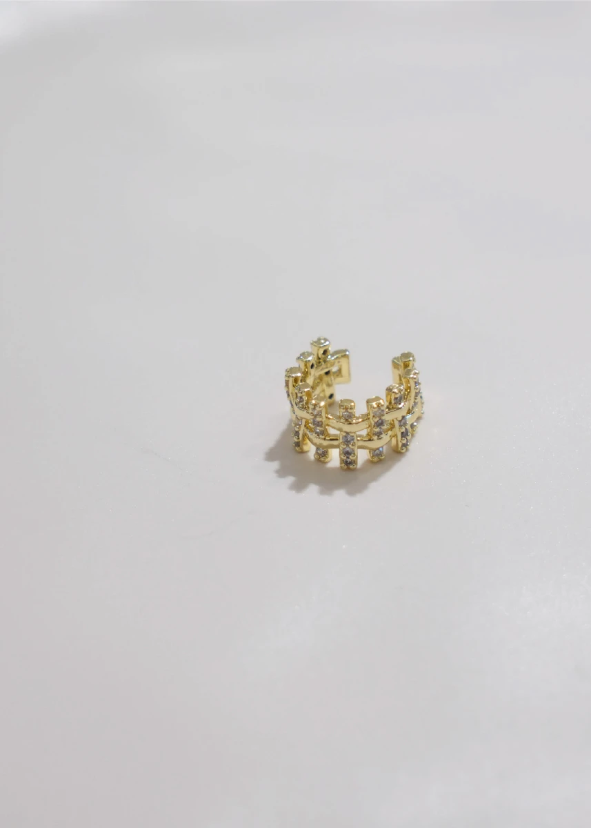 Taşlı Kafes Tasarım Gold Kıkırdak Küpe