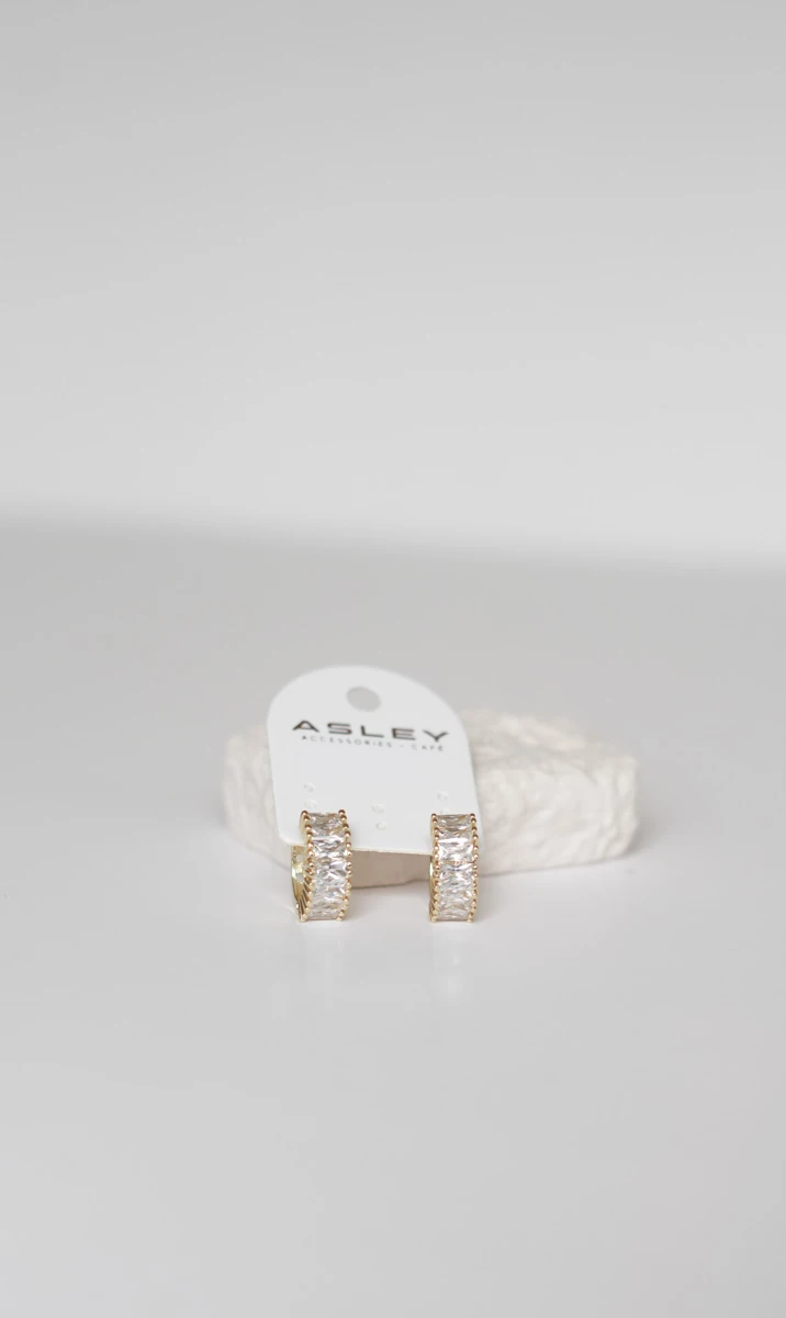 İnce Baget Taş Sıralı Halka Küpe