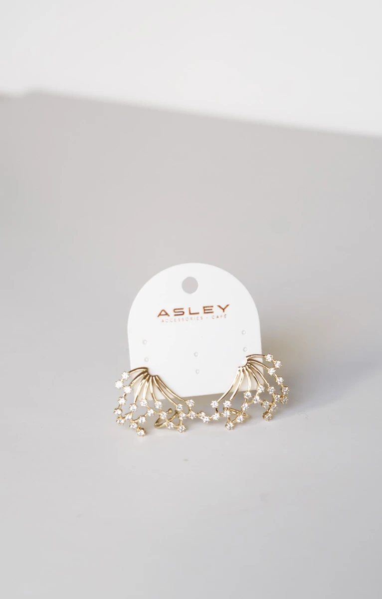 Uç Kısmı Taşlı Kanat Tasarım Gold Küpe