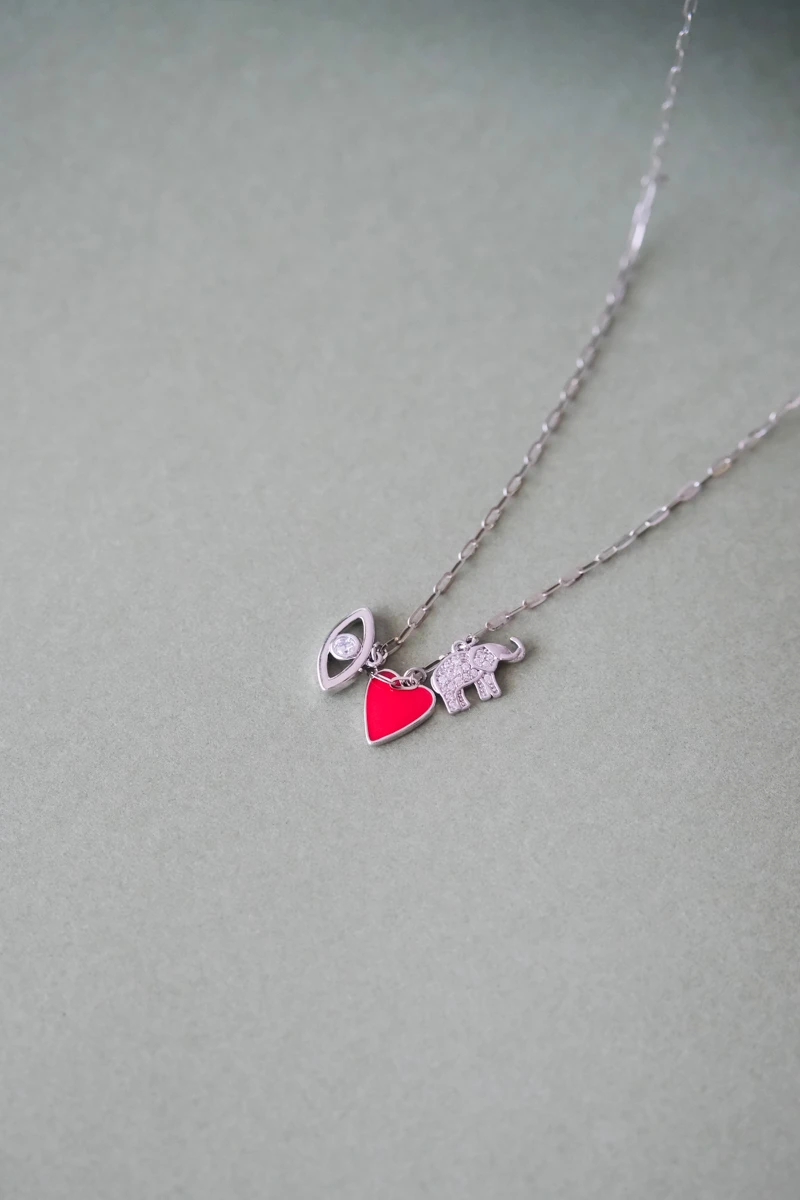 Çoklu Charm Detaylı Gümüş Kolye