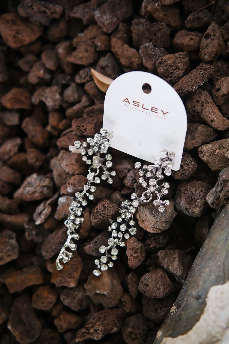 Yuvarlak Taşlı Dal Tasarım Uuzn Gümüş Küpe